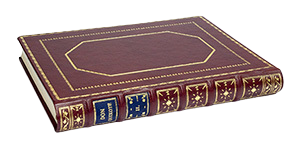 El Quijote De Lujo. Tomo II