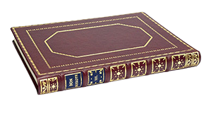 El Quijote De Lujo. Tomo IV